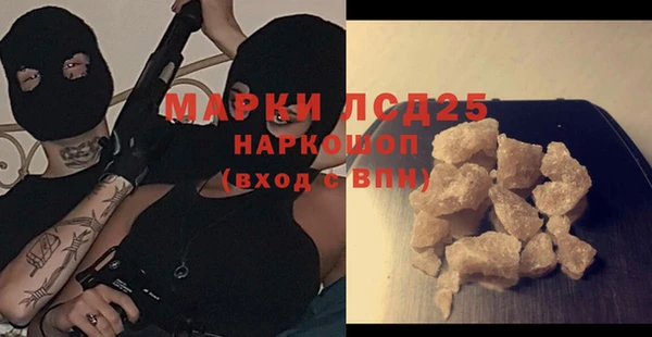 индика Вязники