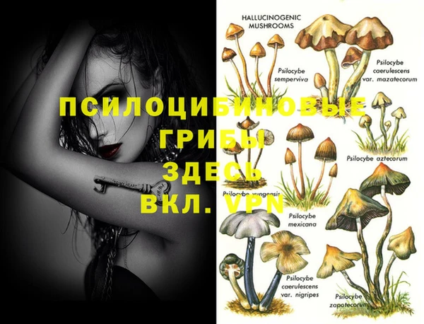 ALPHA-PVP Вязьма
