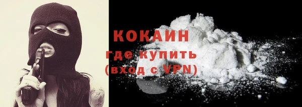кокс Билибино