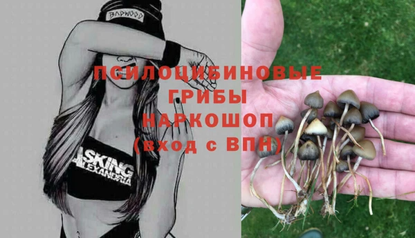 тгк Вяземский