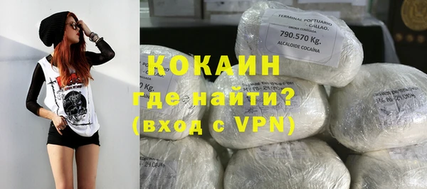 индика Вязники